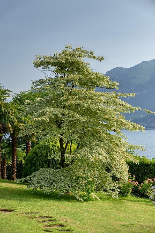 Villa Ucci Onno Exterior foto